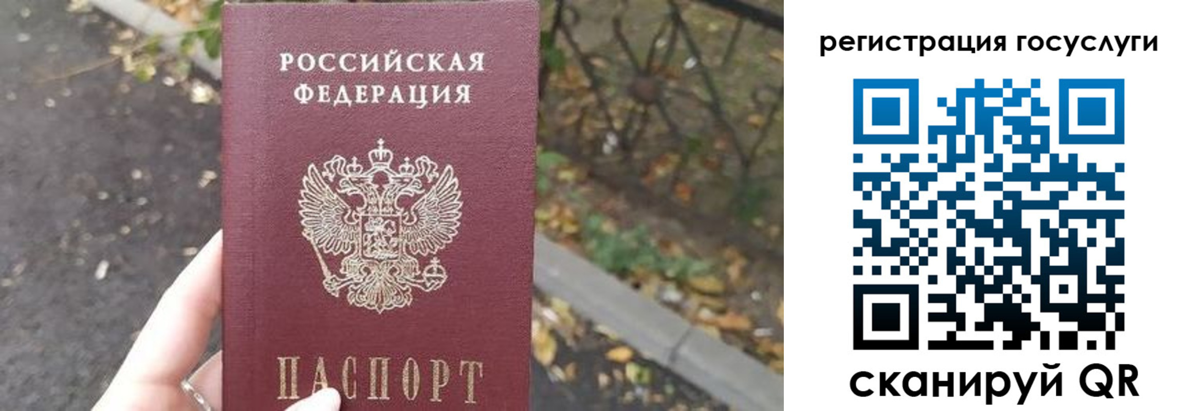 купить прописку в Калининградской области